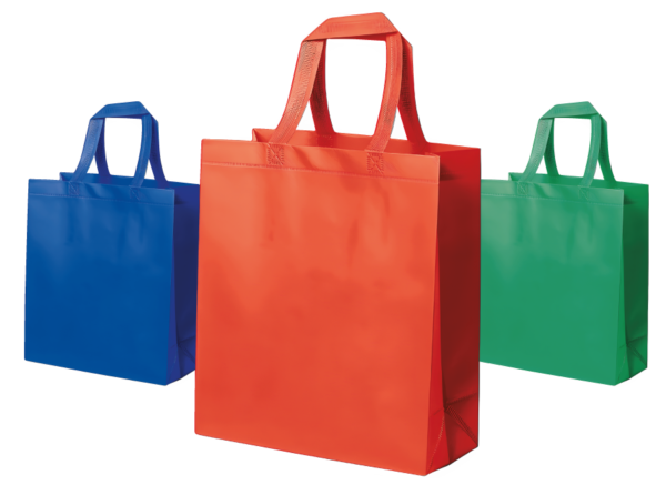 Bolsa Ecologica non woven